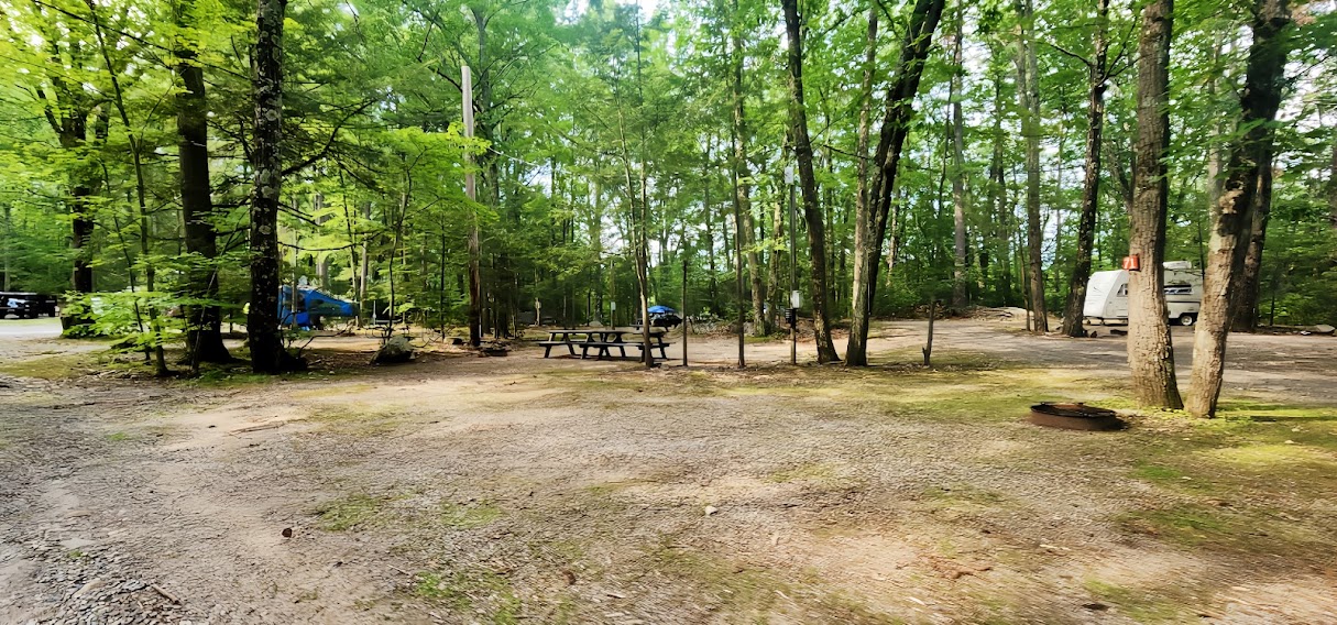 RV Sites view 5 at Pioneer Valley RV Campground