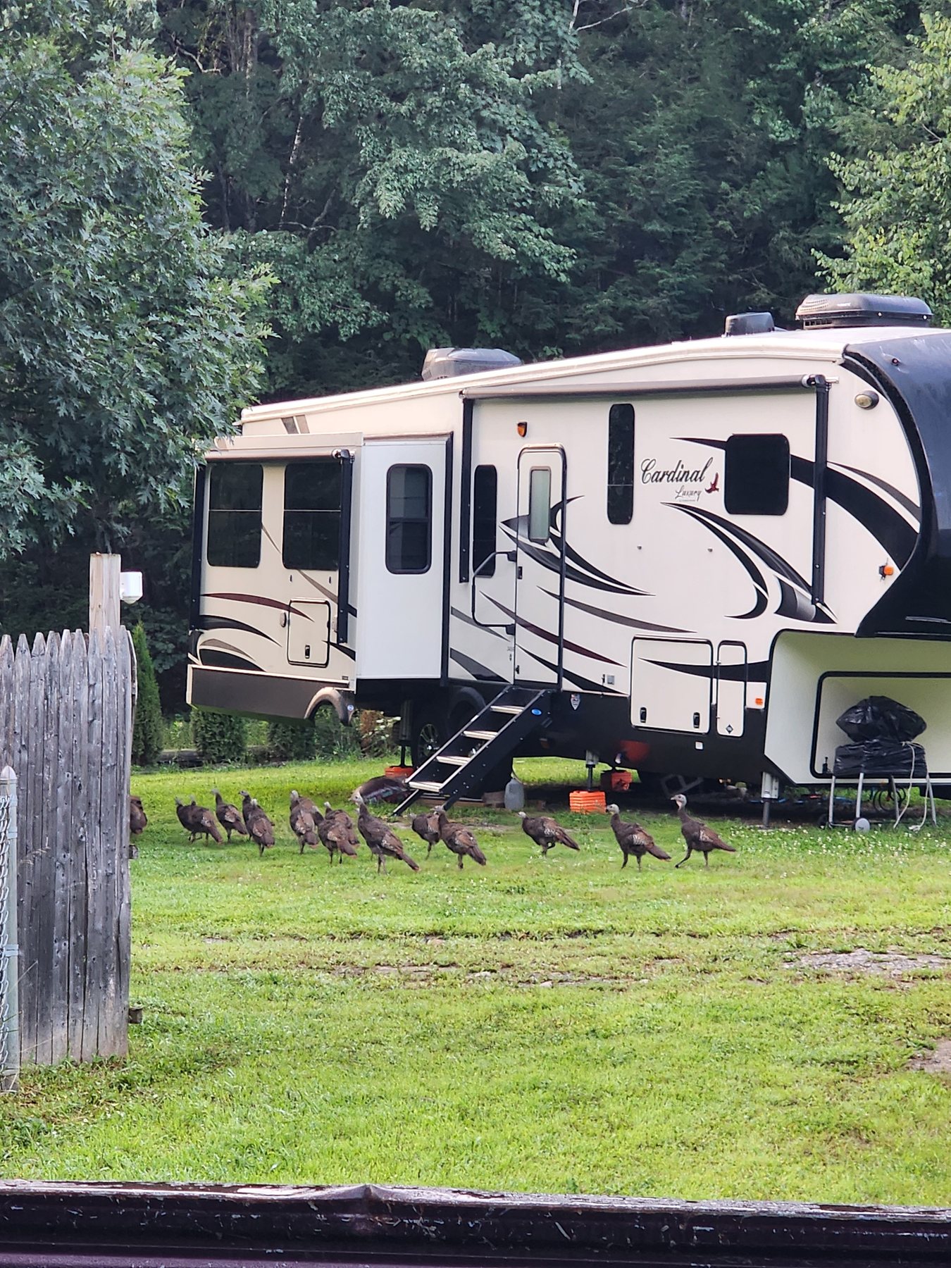 RV Sites view 6 at Pioneer Valley RV Campground