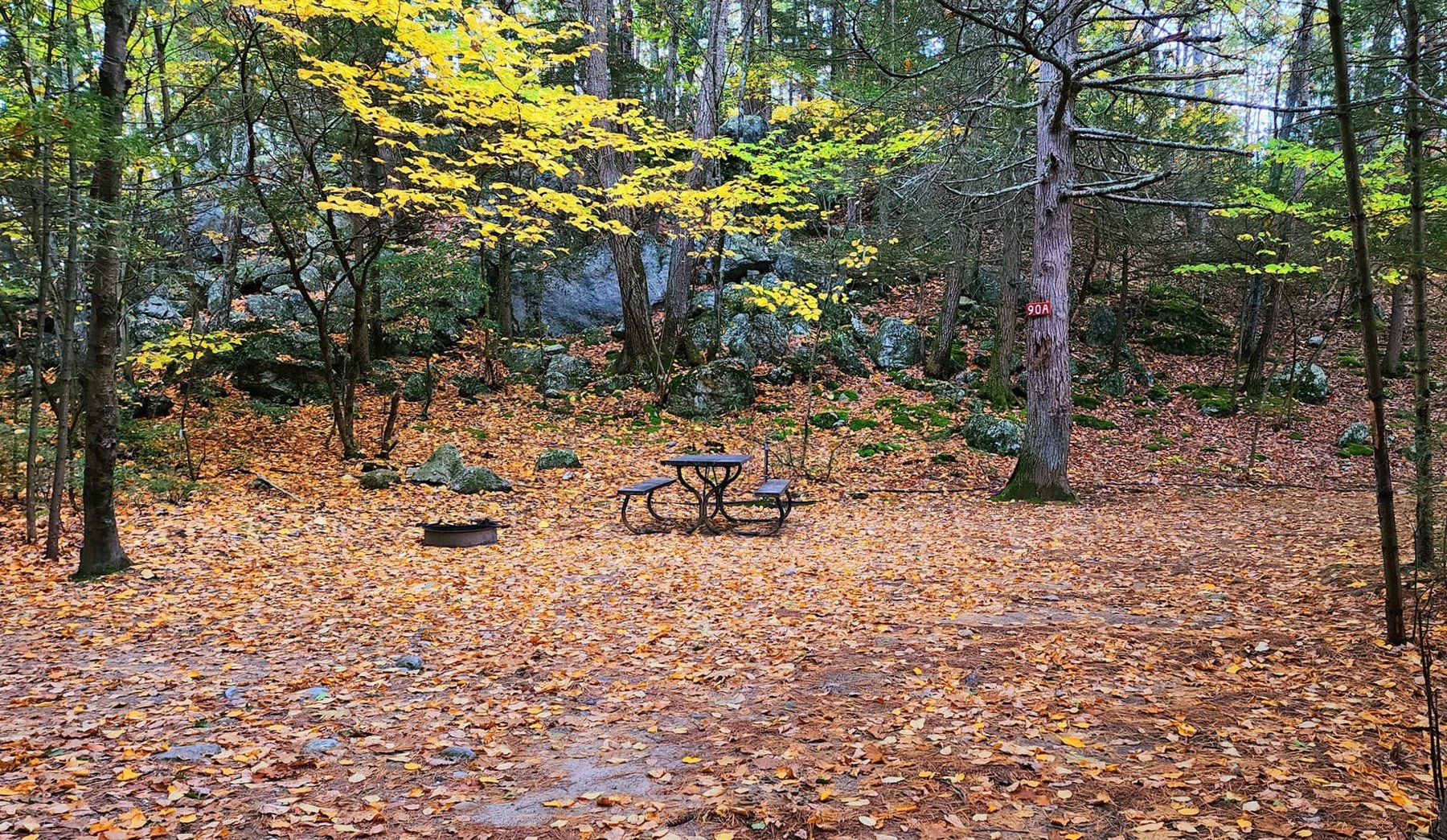 Tent Sites view 3 at Pioneer Valley RV Campground