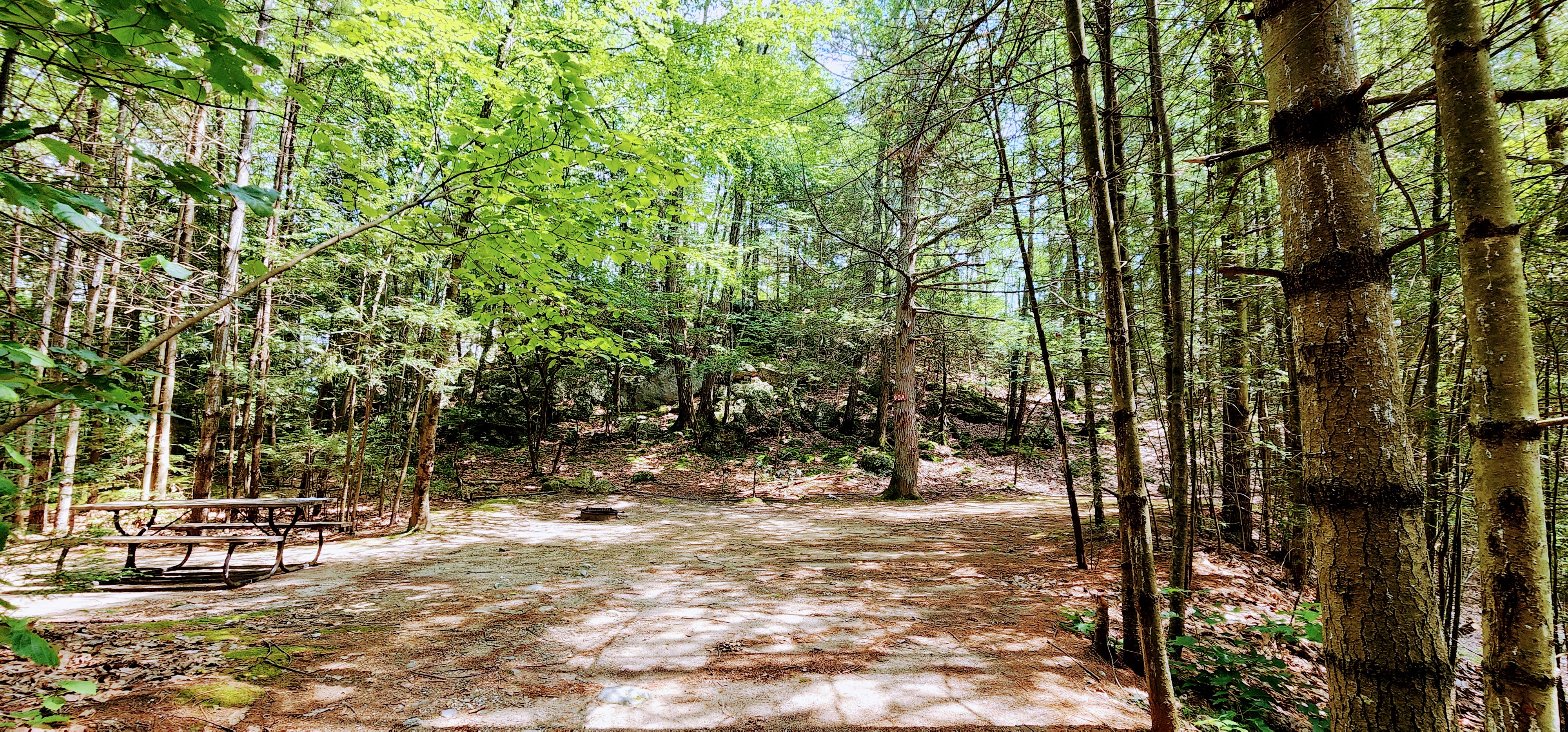 Tent Sites view 2 at Pioneer Valley RV Campground