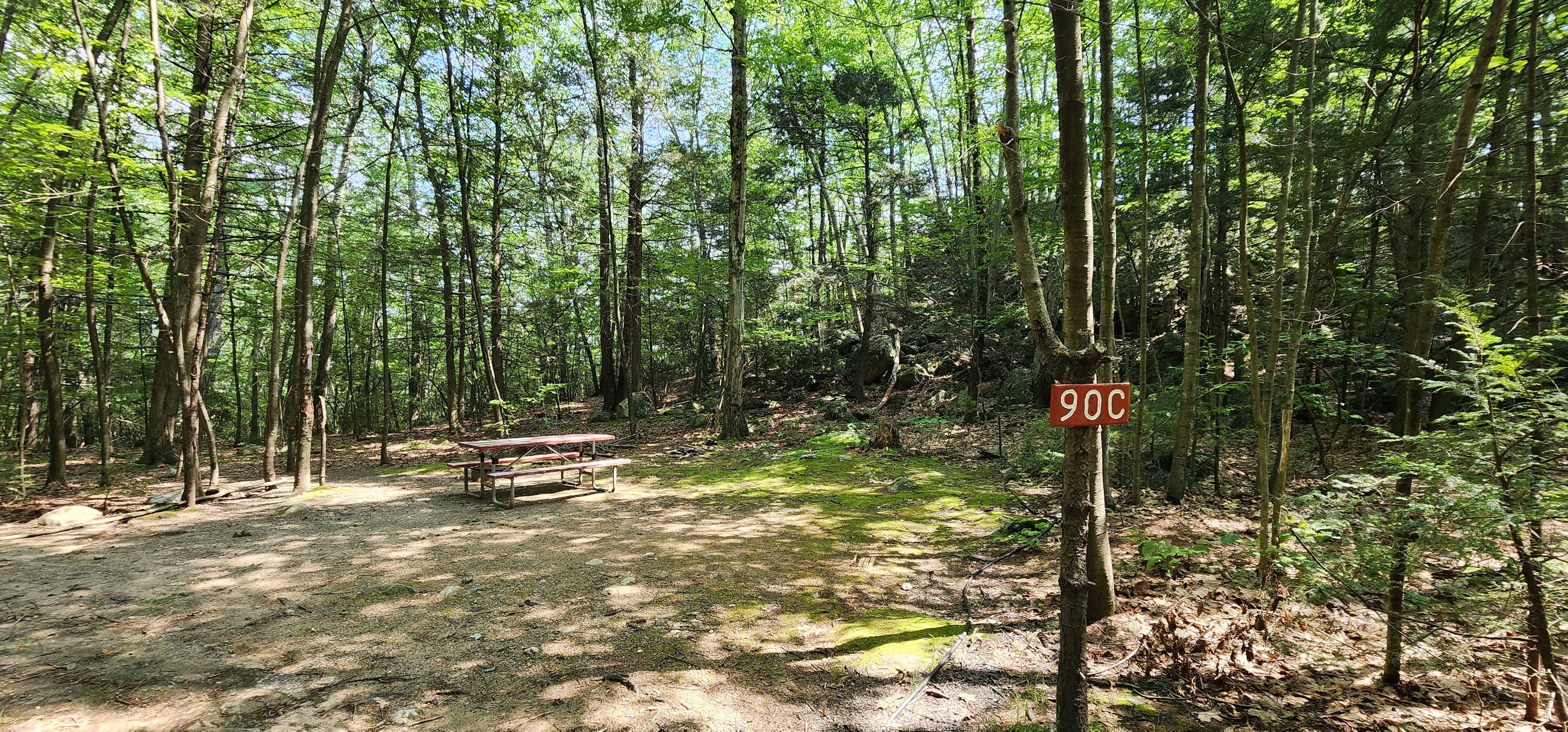 Tent Sites view 1 at Pioneer Valley RV Campground
